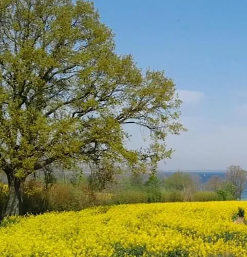 Wikingerland Langballig